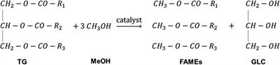 Comparative Technoeconomic Analysis of Using Waste and Virgin Cooking Oils for Biodiesel Production